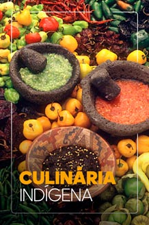 Culinária Indígena
